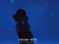 -多彩贵州城极地海洋世界