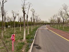 -天津东丽湖风景区