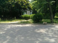 -镇江市南山风景名胜区竹林景区