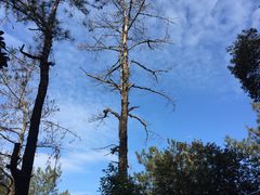 -安溪清水岩