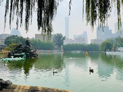-团结湖公园