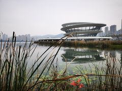 -梅溪湖城市岛