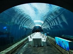 -涛·海底餐厅·美人鱼·自助餐·海底隧道(三亚海棠湾洲际度假酒店)