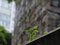-文昌阁