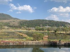 -比顿咖啡(和顺古镇店)