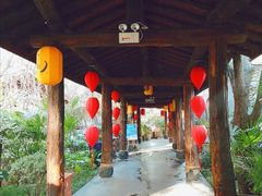 -西安国际创新人才交流中心•药浴温泉