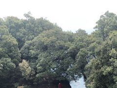 -窦圌山风景区