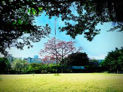 -纪念孙中山市政公园