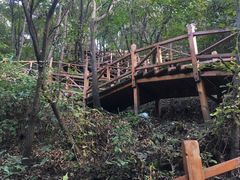 -大岭沟猕猴桃谷风景区
