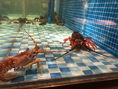 -蓝钻·国际美食海鲜自助百汇(西直门店)