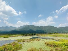 -腾冲北海湿地