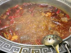 -杨肥肠火锅大排档(火车站花园店)