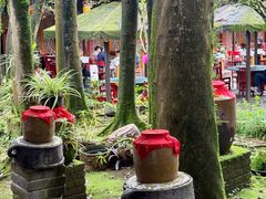 -土砂锅生态山庄·非遗砂锅雅鱼