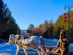 -北极村旅游风景区
