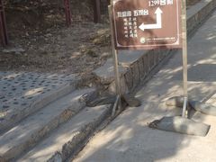 -北京十三陵国家森林公园蟒山景区