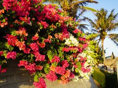 -美奈海崖度假酒店