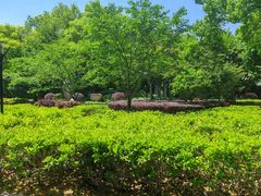 -徐家汇源景区-衡山公园