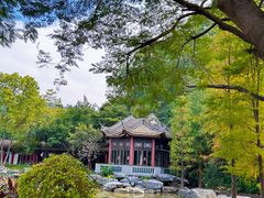 -顺峰山公园