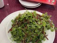 -老边饺子馆(中街店)