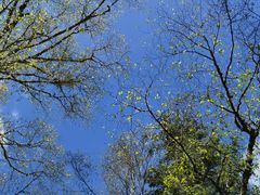 -叠溪松坪沟景区