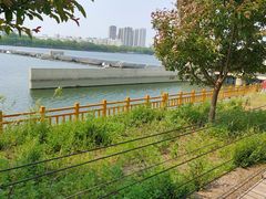 -长白岛森林公园