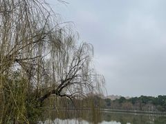 -南汇桃花村