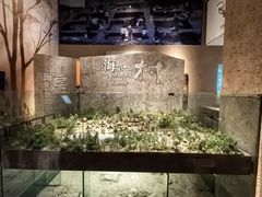 -上海崧泽遗址博物馆