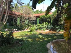 -海南热带野生动植物园