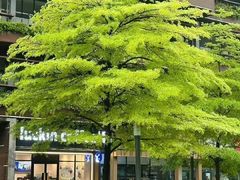 -LA合时健身4PMFIT(花桥旗舰店)