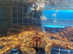 -渔歌雅宴·渔鲜烤鸭(北京西站店)