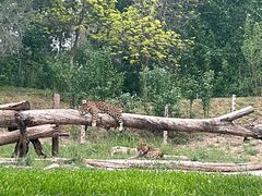 -北京野生动物园