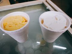 -洪馨椰子