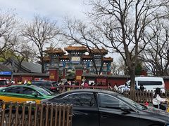 -北京国子监胡同