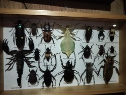 -Zoolung Zoolung动物主题公园(海信广场店)