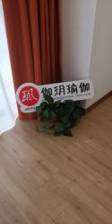 点击看大图 -伽玥瑜伽·普拉提馆
