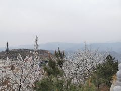 -定都阁