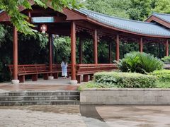 -金银湖国家城市湿地公园