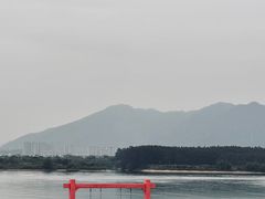 -福建鲤鱼洲酒店