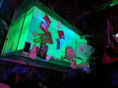 -GAGA主题量贩式KTV平价店(工大店)