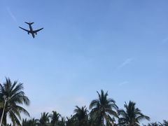 -龙泉人椰子鸡.糟粕醋.海南菜(三亚旗舰店)