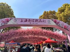-南汇桃花村