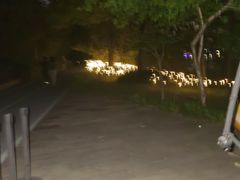 -南翔镇银翔湖公园