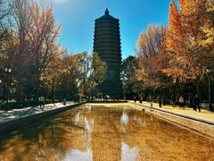 -玲珑塔公园