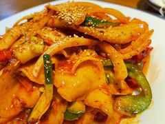 -红辣椒八爪鱼特色韩国料理