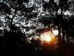 -云碧峰国家森林公园