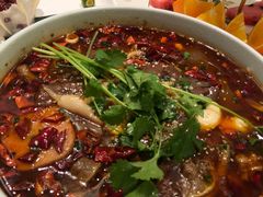 -蝶园·装修中(BFC外滩金融中心店)