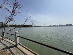 -无锡蠡湖国家湿地公园-蠡园
