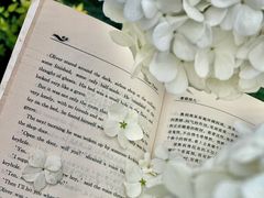 -杭州城北体育公园