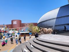 -烟台海昌鲸鲨海洋公园