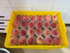 -老袁家蜜桃农场·阳山水蜜桃